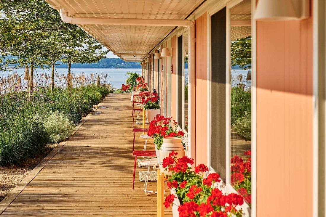 Q&A With the Author: Ellie Seymour on Vintage Motels