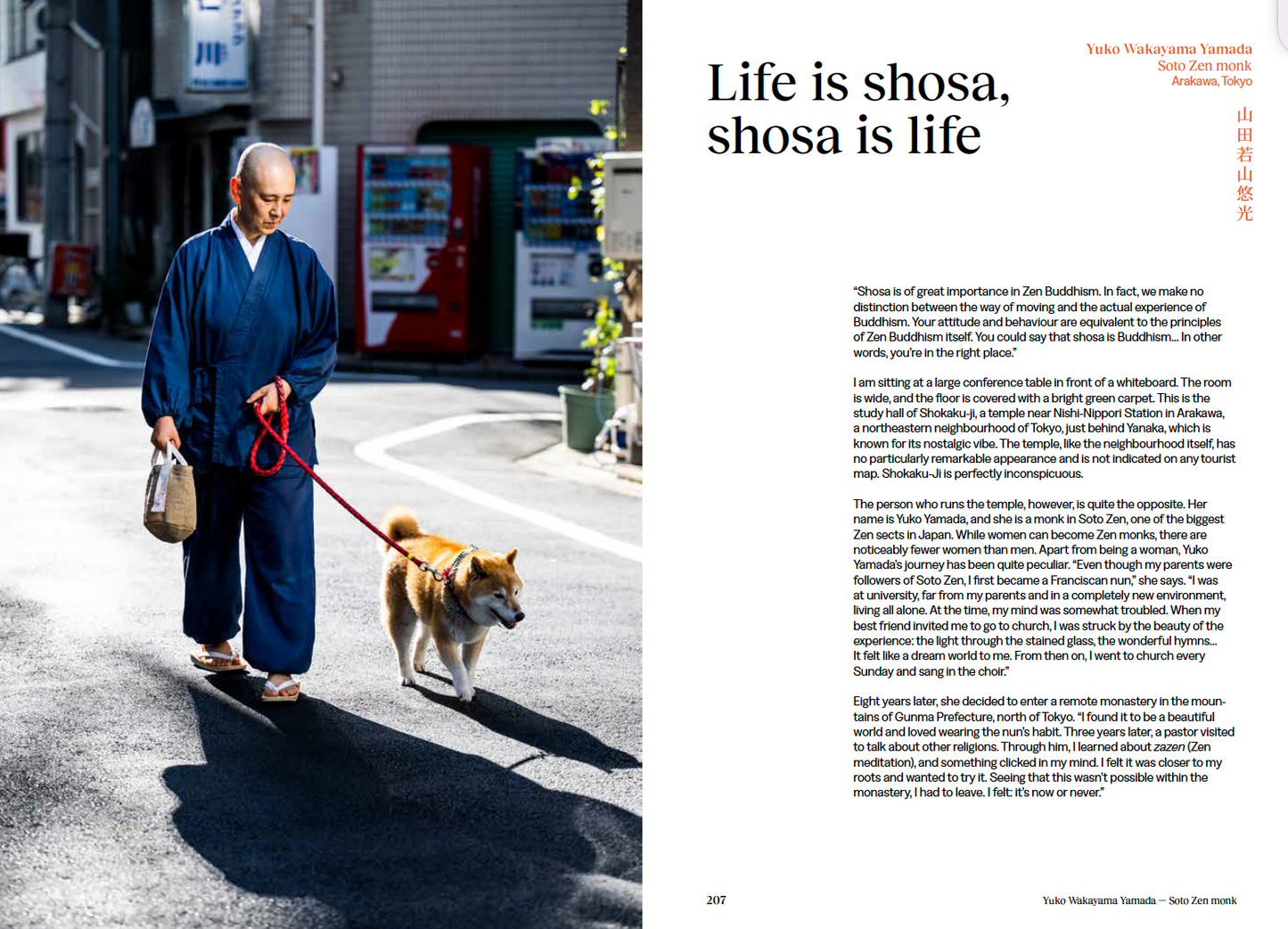 Shosa - Meditations in Japanese Handwork