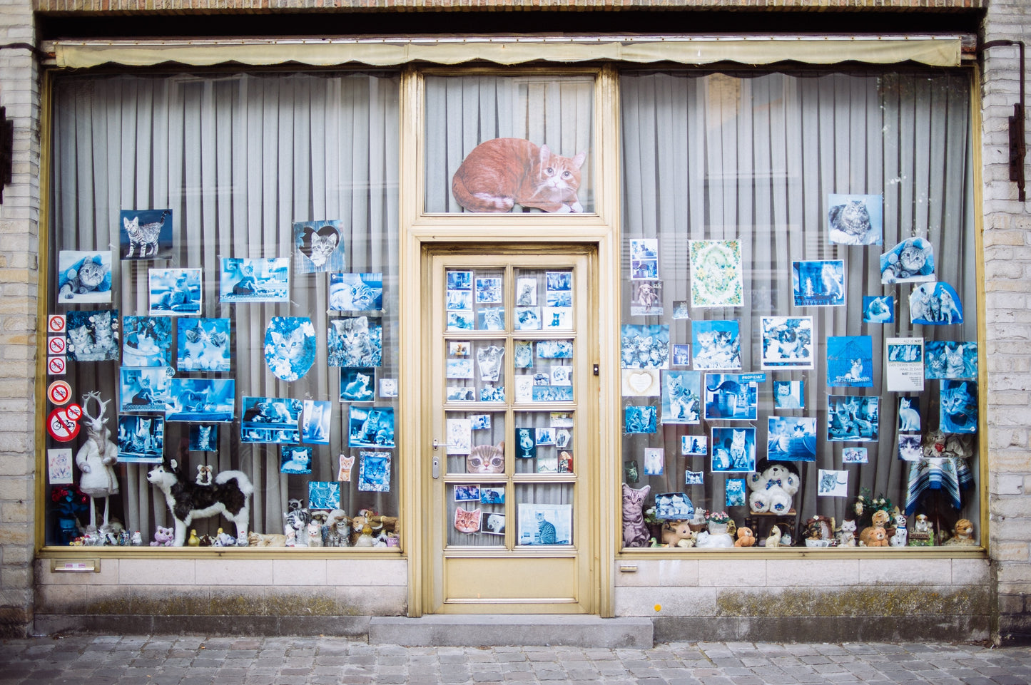 Strange Things Behind Belgian Windows