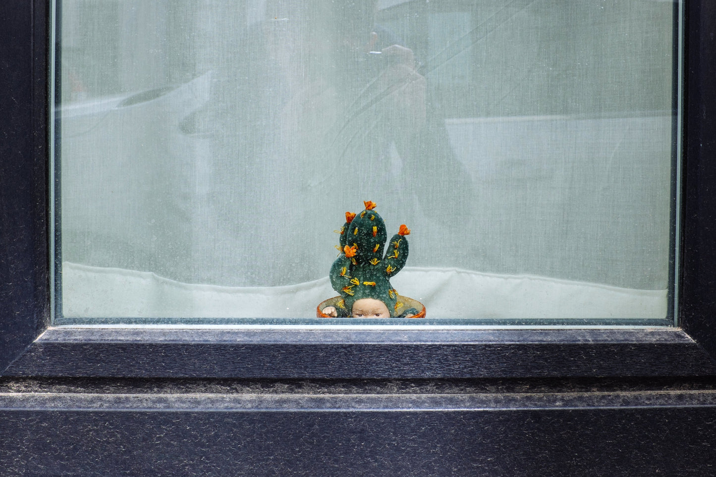 Strange Things Behind Belgian Windows