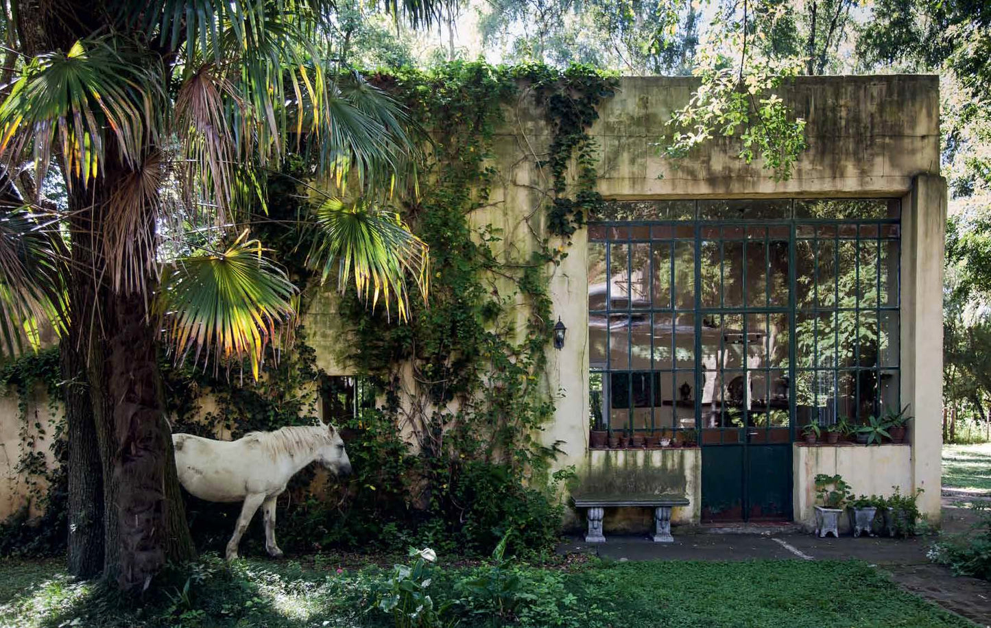 Close to Nature - Inspiring Houses Off the Road