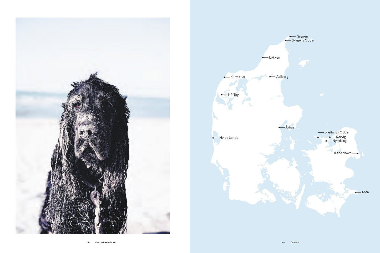 Camper Food & Stories