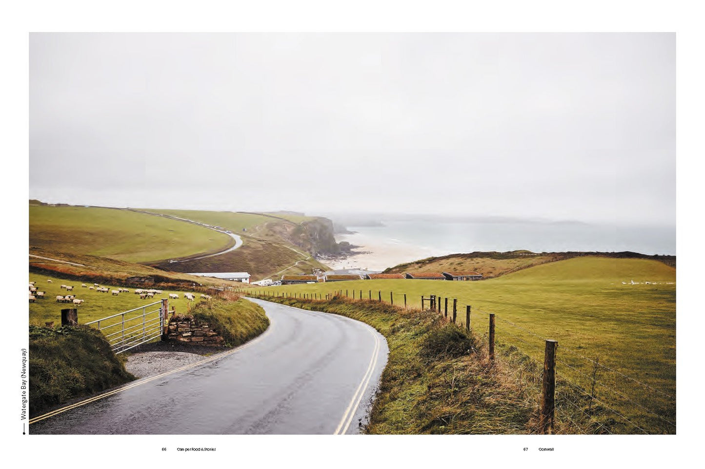 Camper Food & Stories