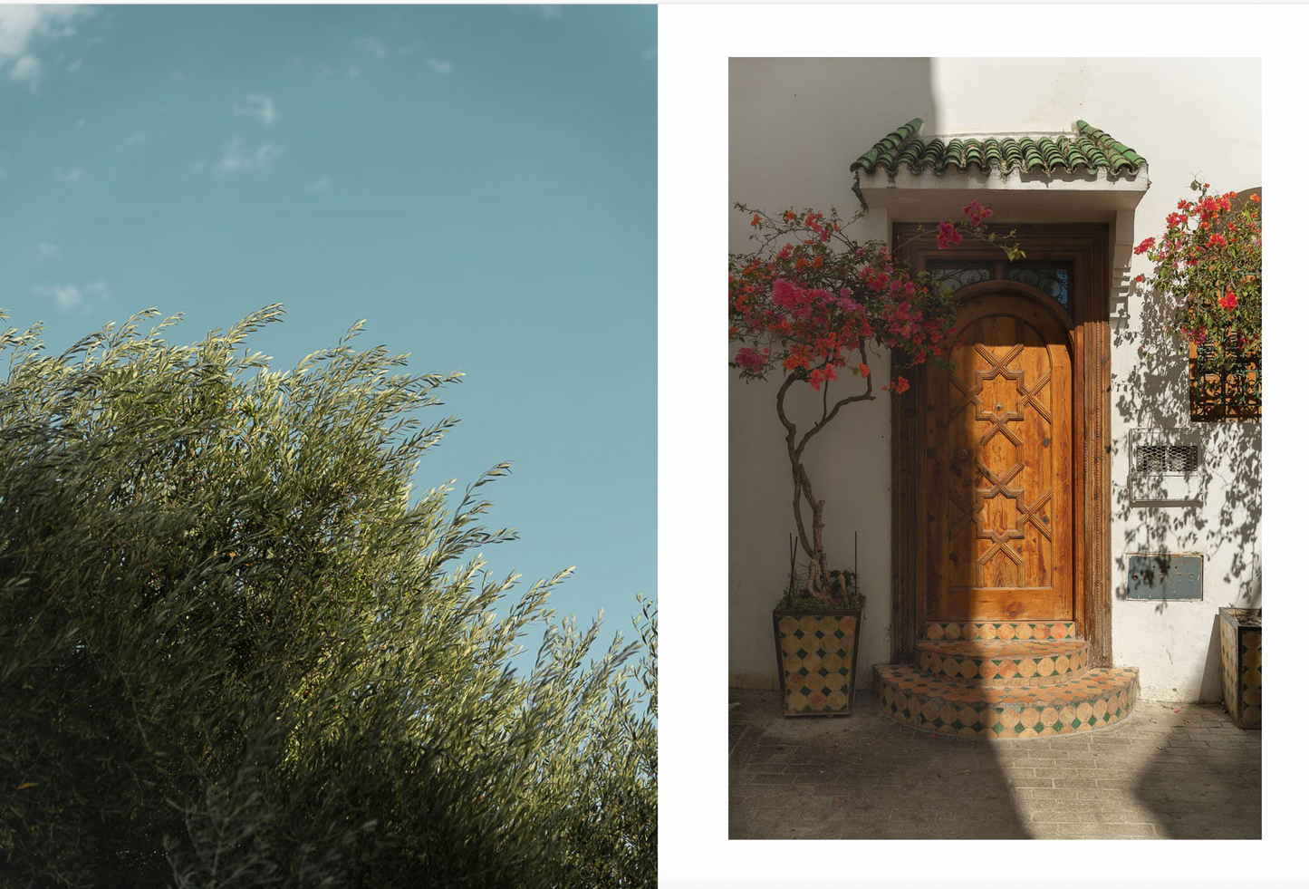 Rock the Kasbah